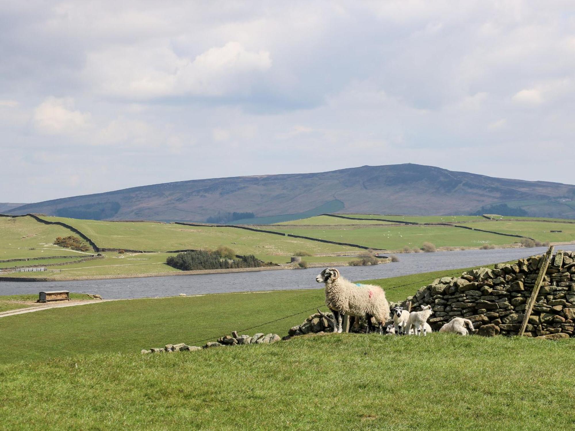 Katie's Skipton